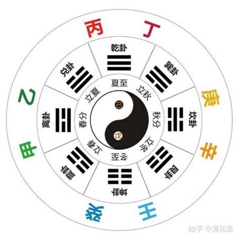 八字乙木|十天干命主白話解說